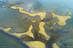 Islands shaped like animals at the coast of Snaefellsnes in Iceland. Aerial photo captured by drone.