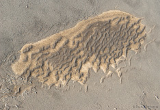 Land-D8_025820.jpg