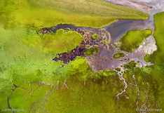 Land-P3_002946.jpg