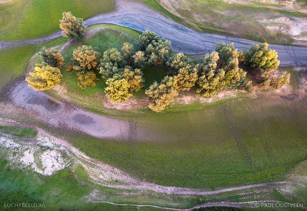 Sporen van vee. Luchtfoto gemaakt met een camera drone (Phantom).