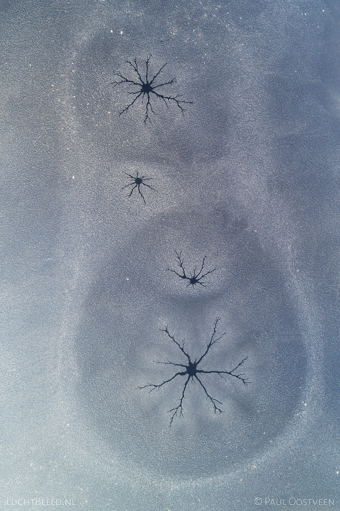 Tentakels in het ijs in een matroesjka. Bevroren ven in veengebied gefotografeerd in de winter met een cameradrone.